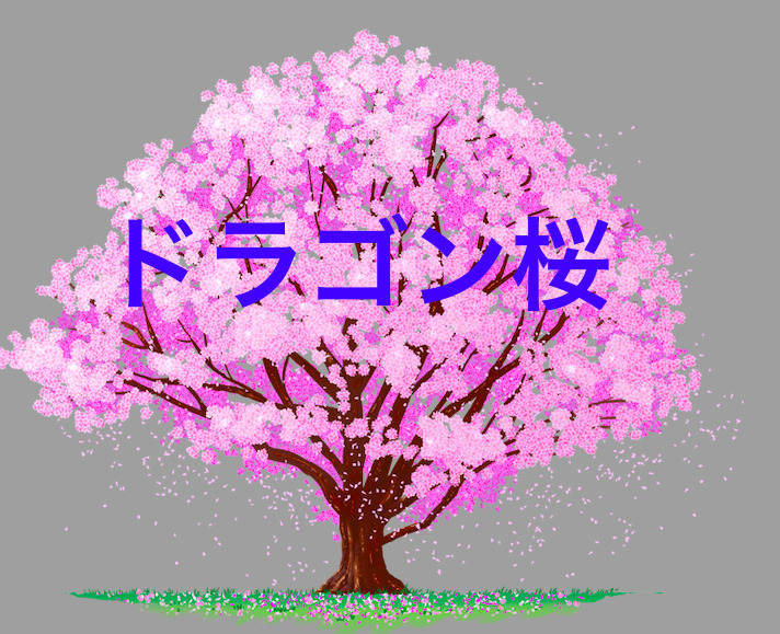 ドラゴン桜 ドラマ の影響で英語ツイートをはじめました 言いたいことを言えるようになりたい ５０代から始めるオンライン英会話